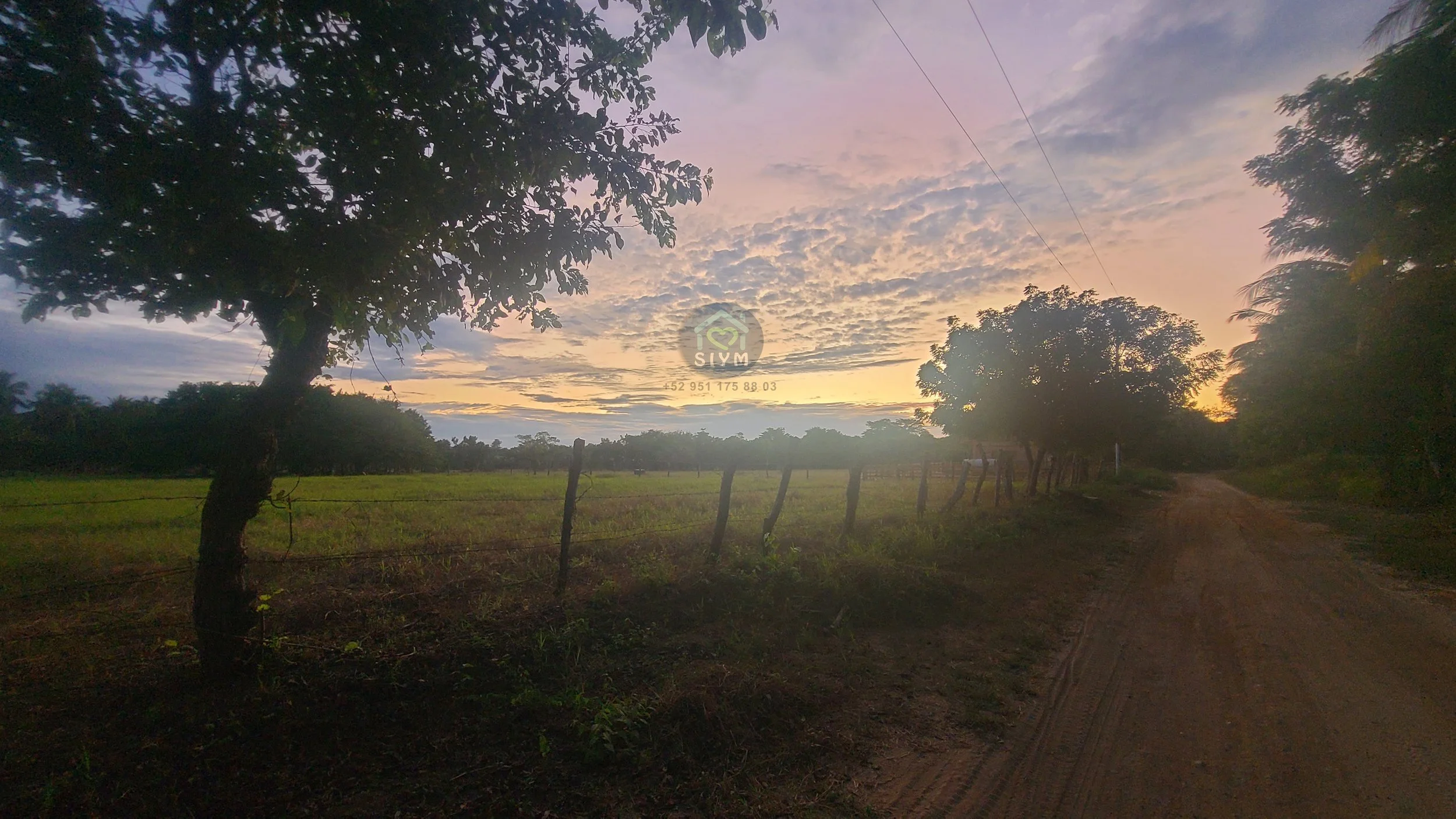 Outside 10.jpg