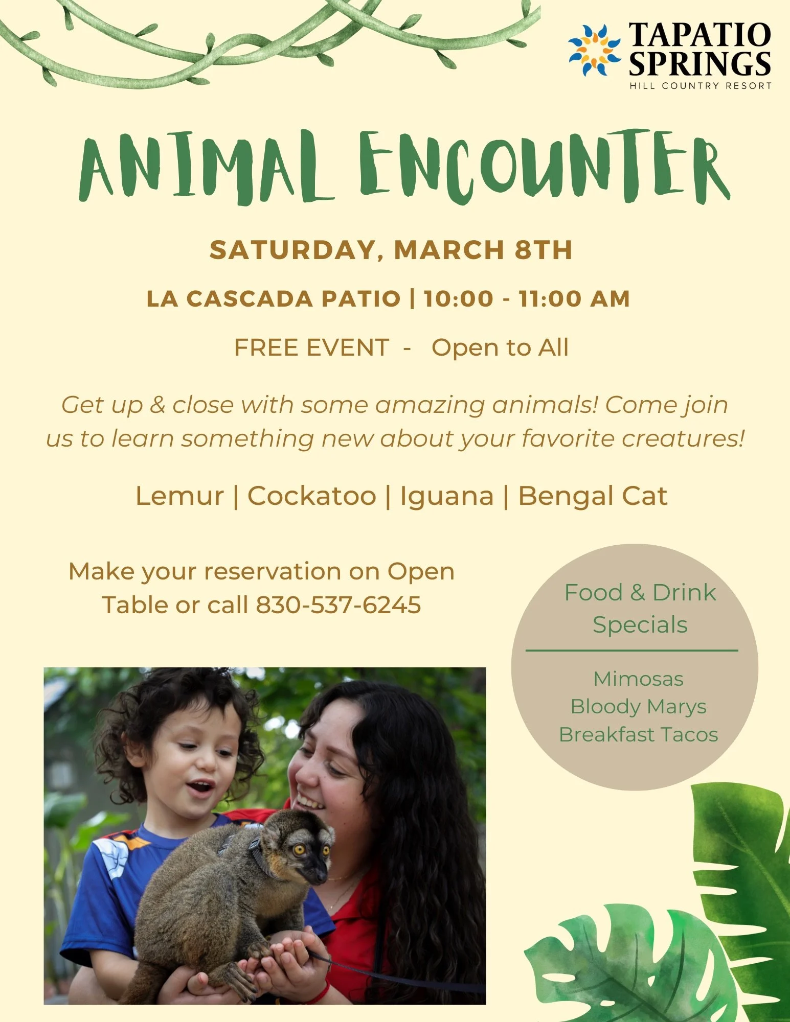 Animal Encounter at Tapatio Springs