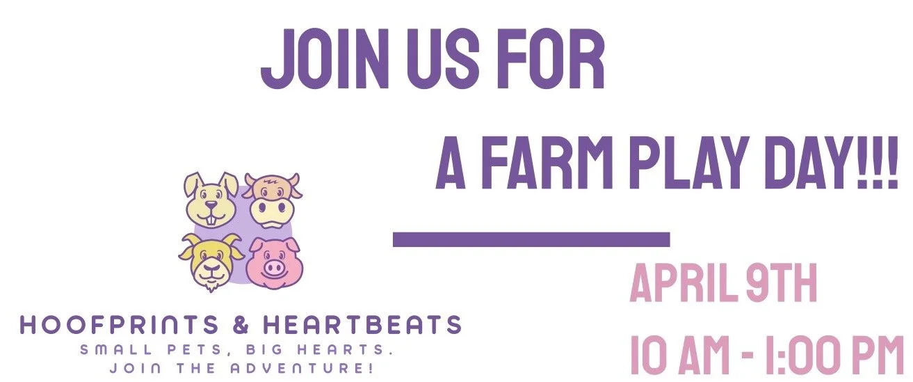 A Farm Play Day with Hoofprints & Heartbeats