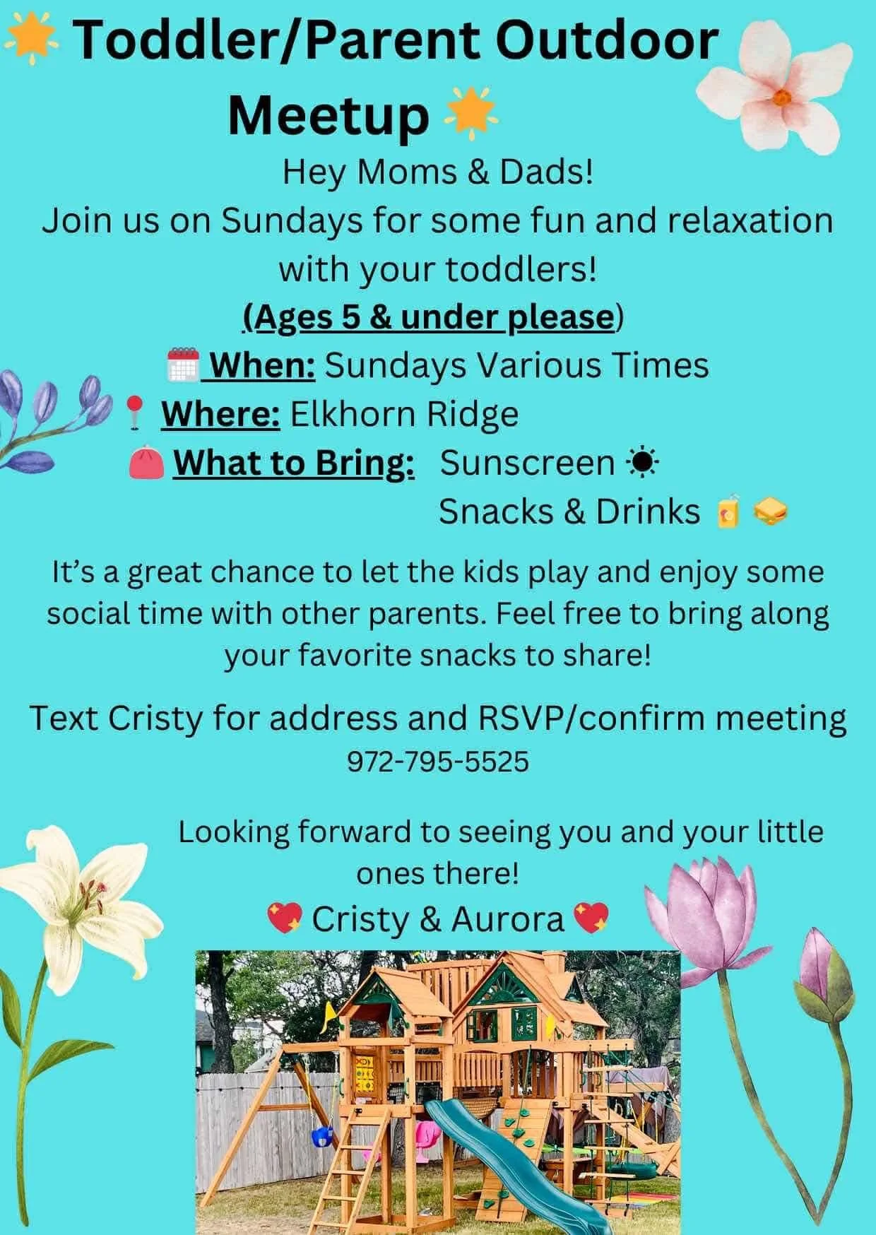 Toddler/Parent Outdoor Meetup