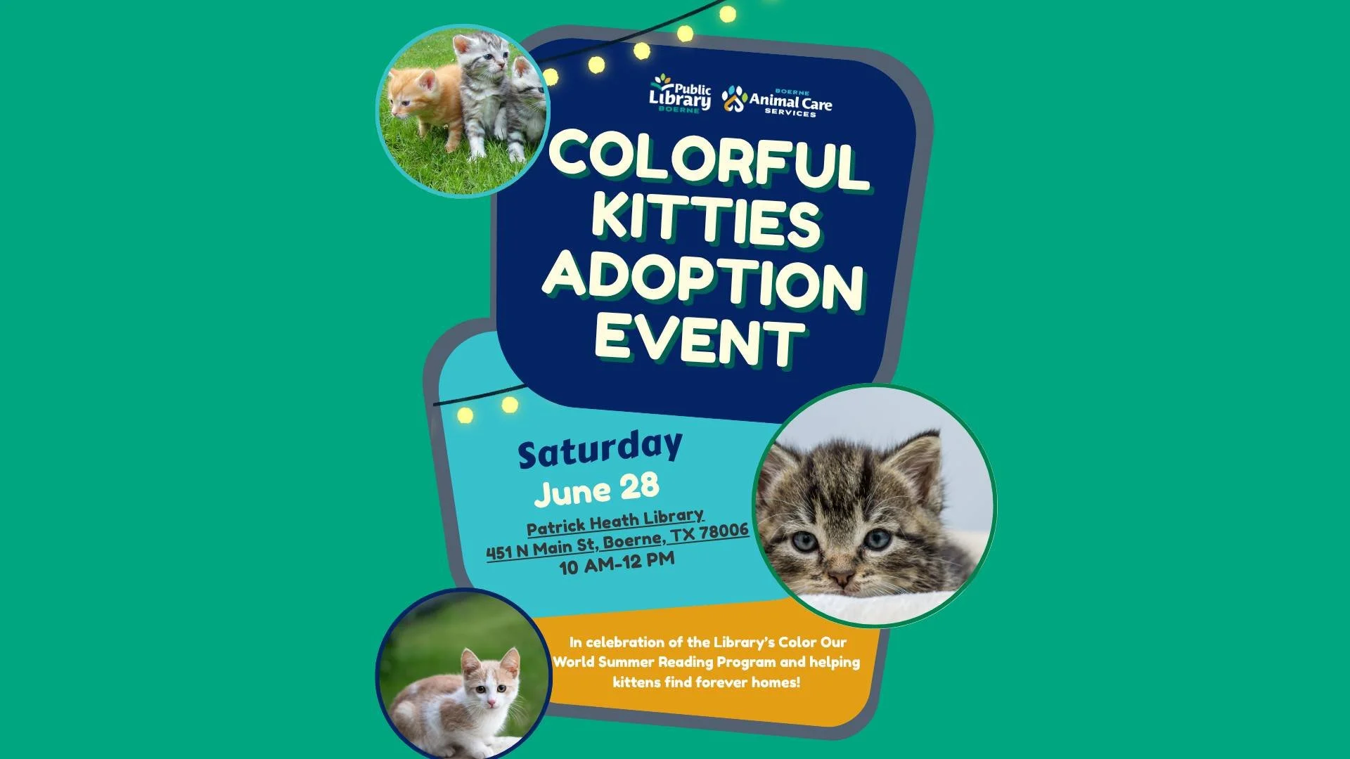 Colorful Kitties Adoption Event