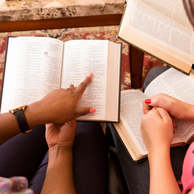 Boerne Love artwork for “Women's Bible Study Groups Fall 2025”
