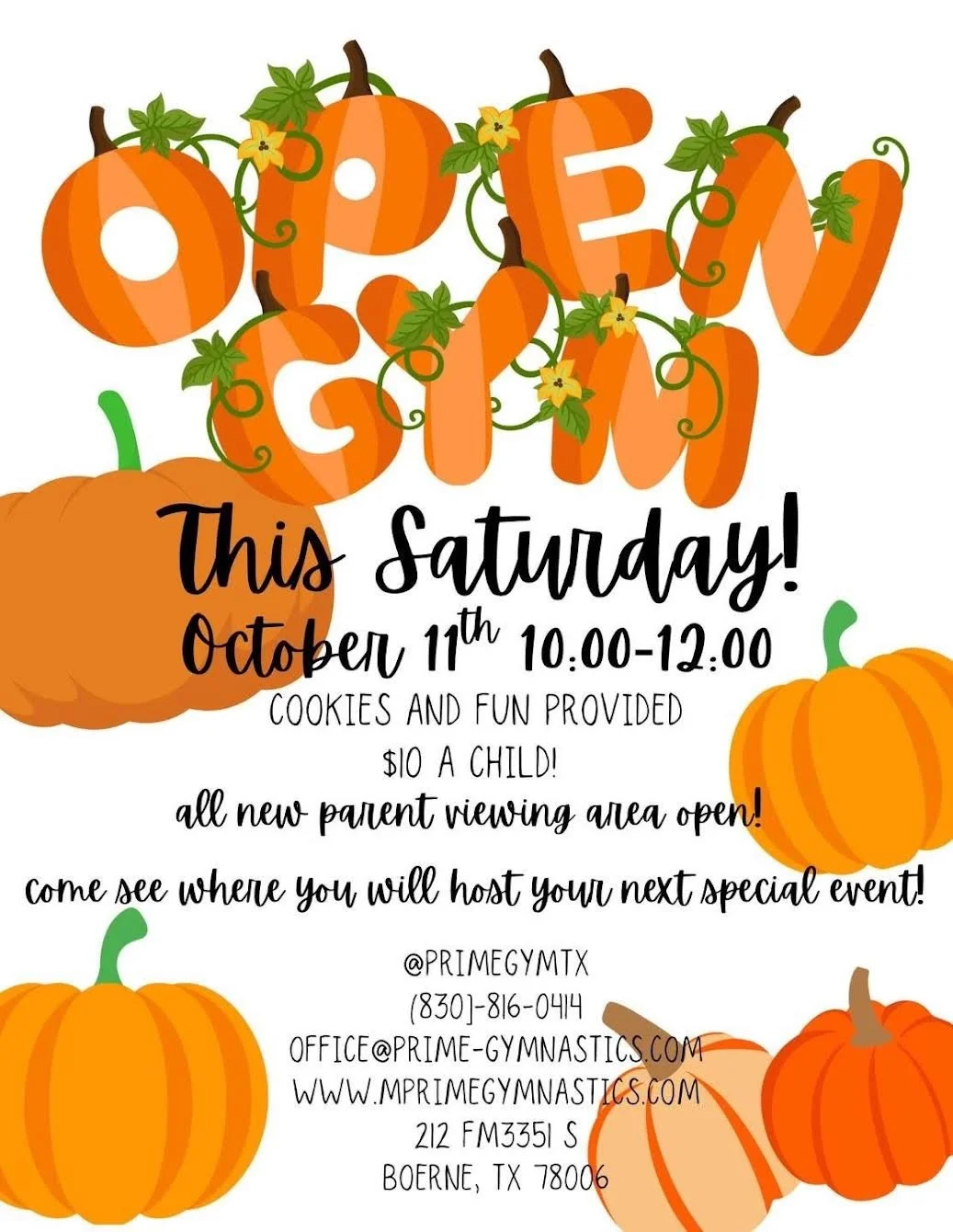 Fall Open Gym at Prime Gymnastics