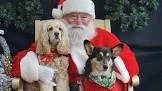 HEB Santa Photos and Dog Adoption