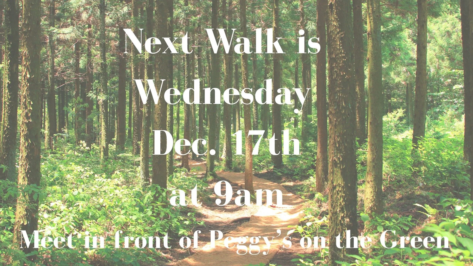 Women's Wednesday Walk