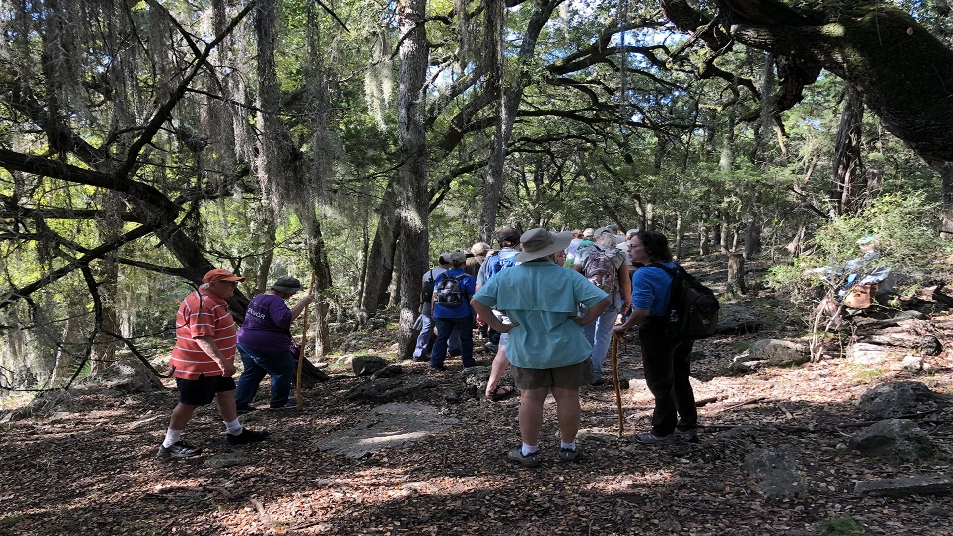 First Day Honey Creek Guided Walks