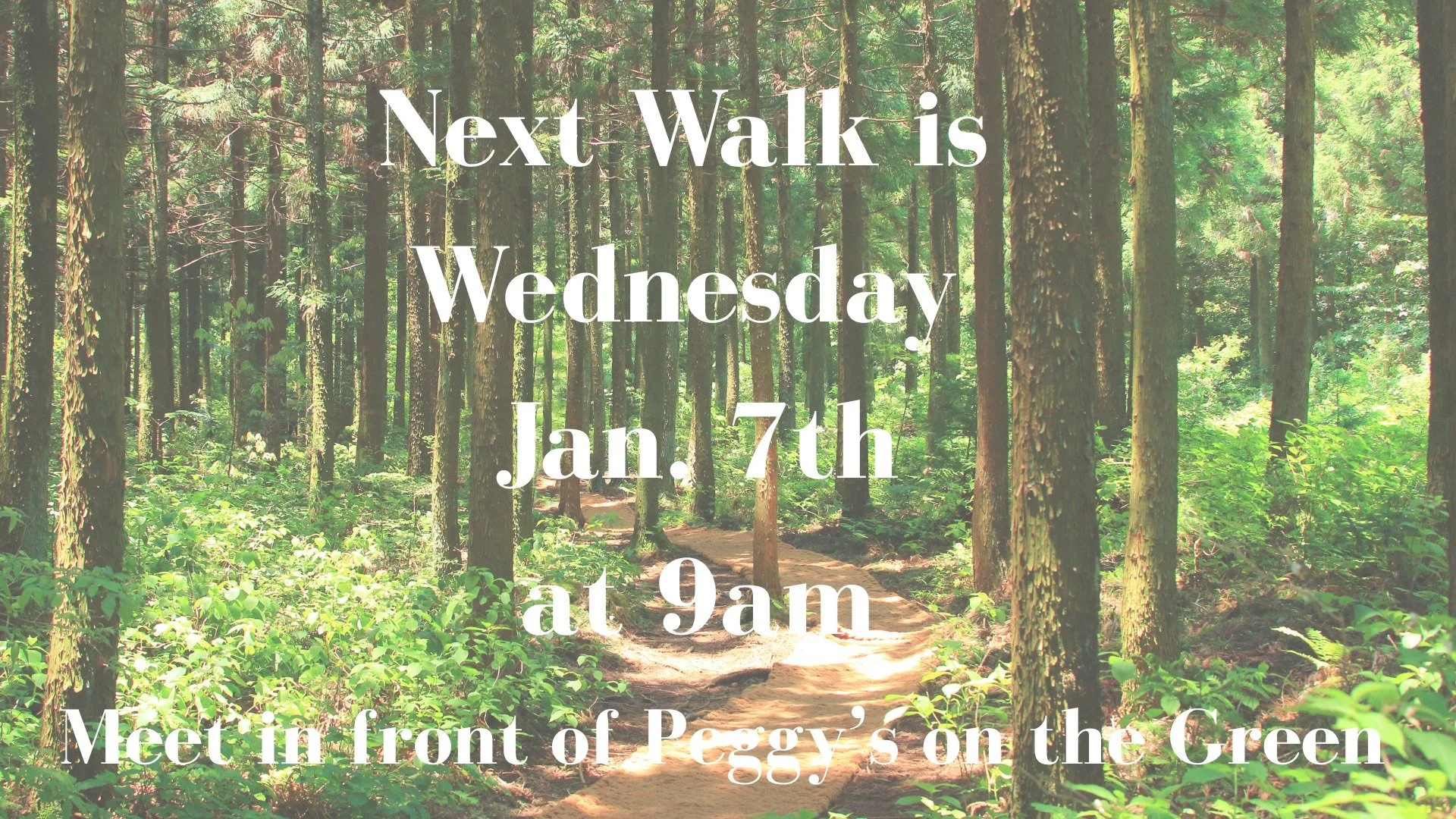 Women's Wednesday Walk 