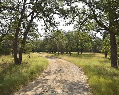 🌿 Saturday Honey Creek Guided Walk 🌿