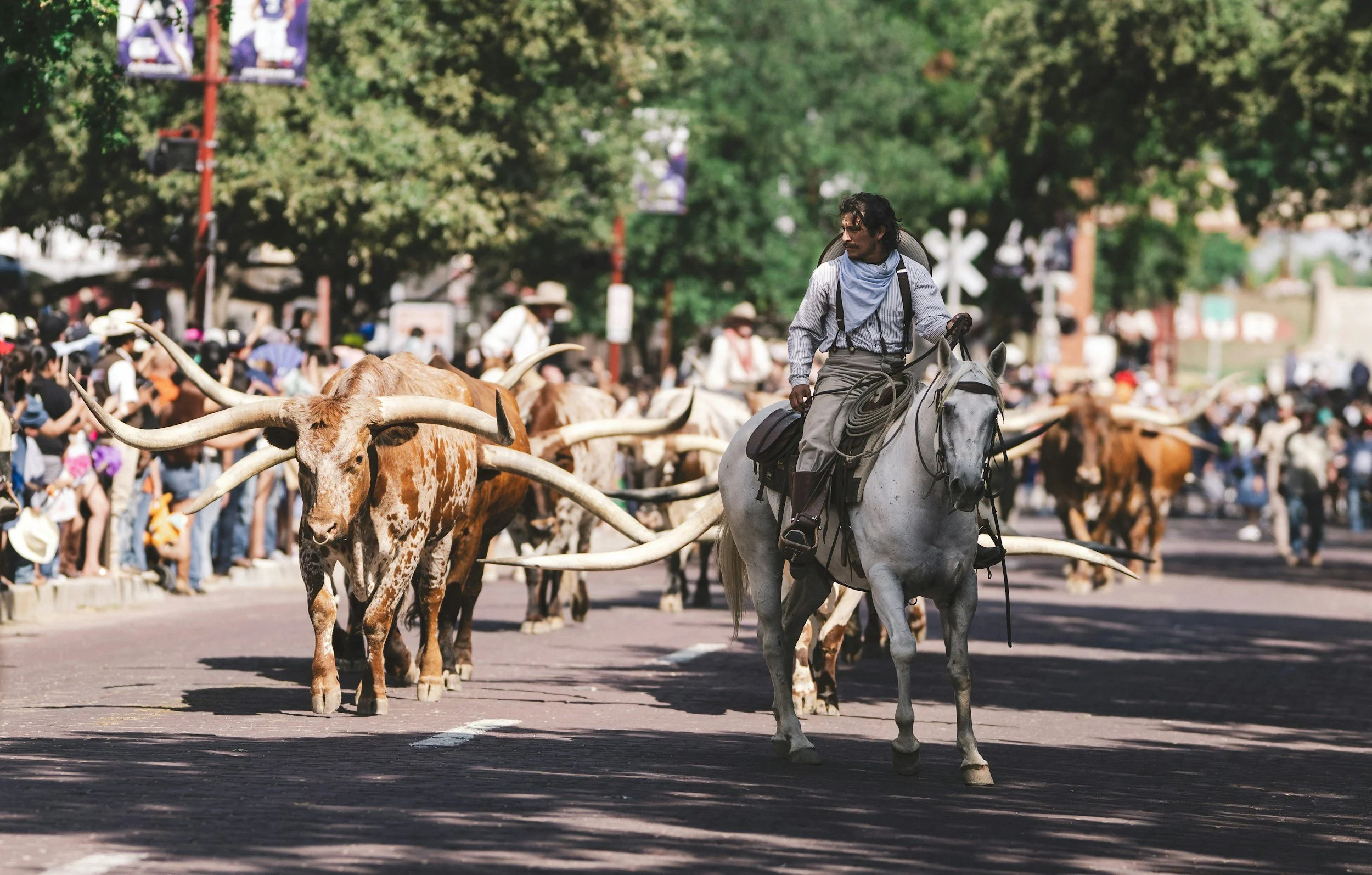 The Western Heritage Parade &amp; Cattle Drive