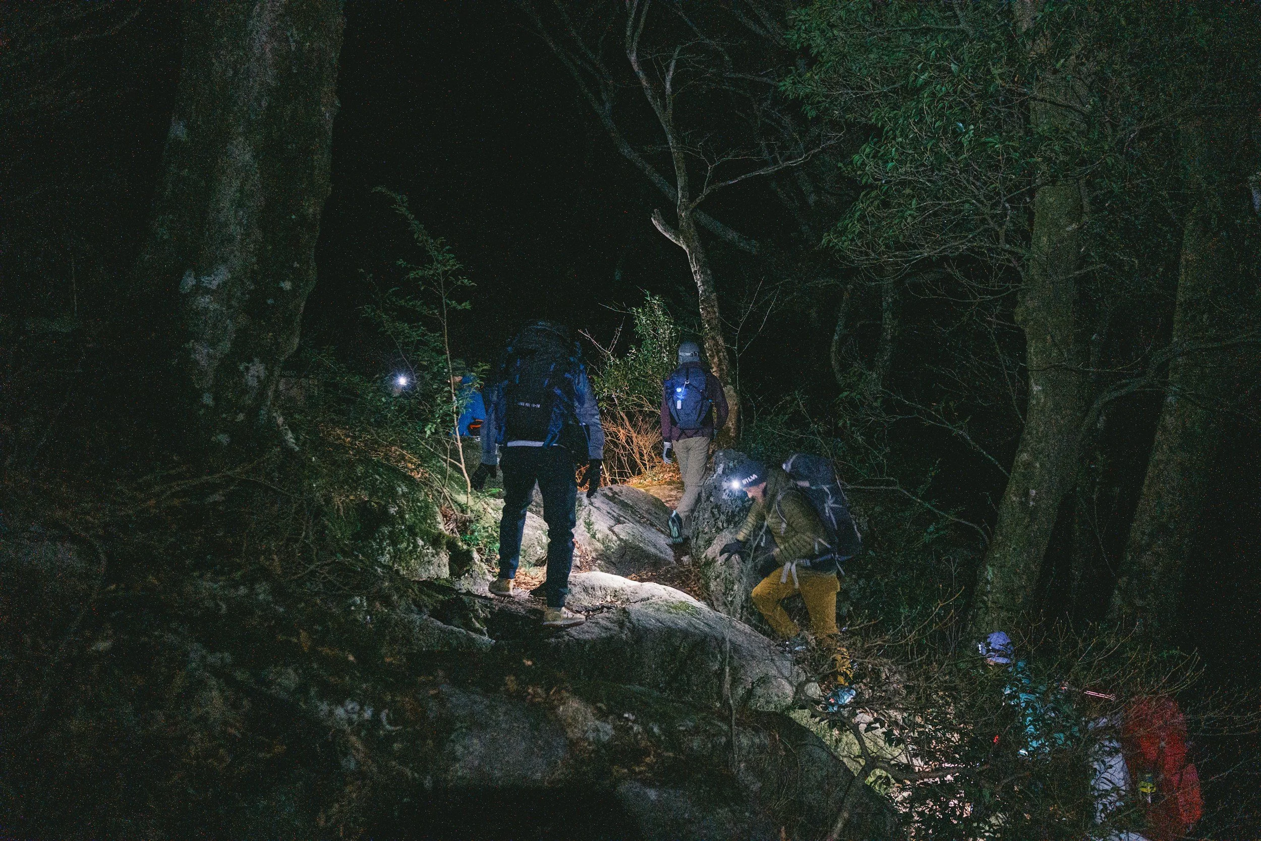Night Hike for Adults at Cibolo Nature Center