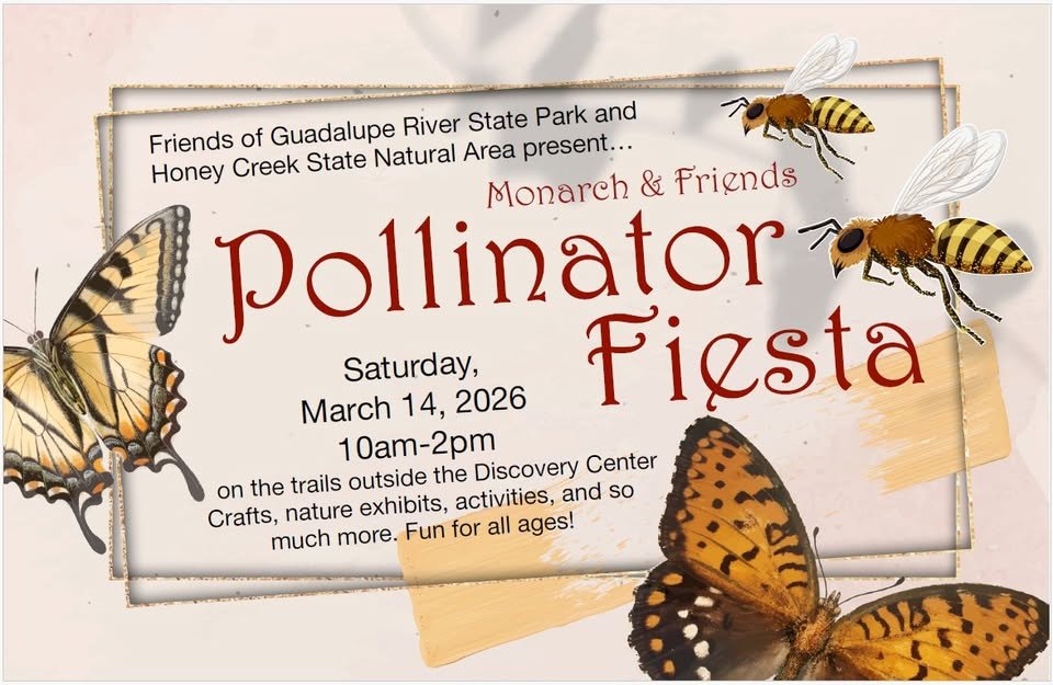 Monarch &amp; Friends Pollinator Fiesta