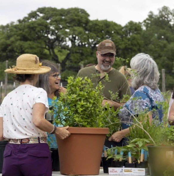 Spring NPSOT Native Plant Sale