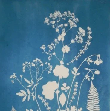 Art AfterHours: Solar Printing