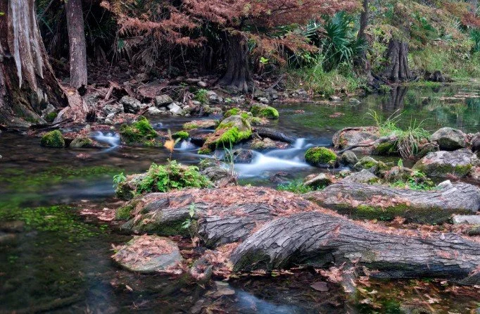 Guided Hike to Honey Creek
