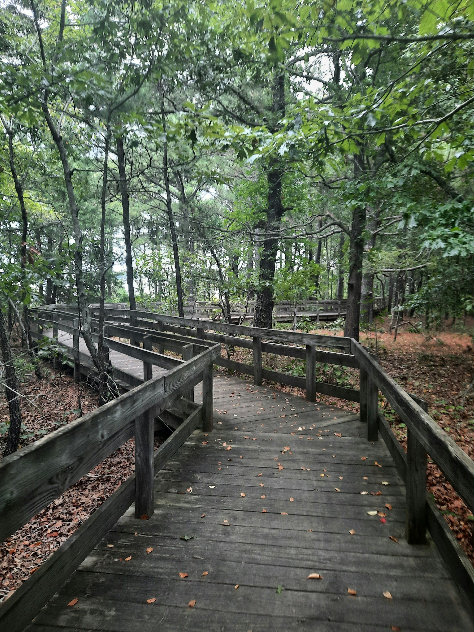 Wednesday Walk with Noah 