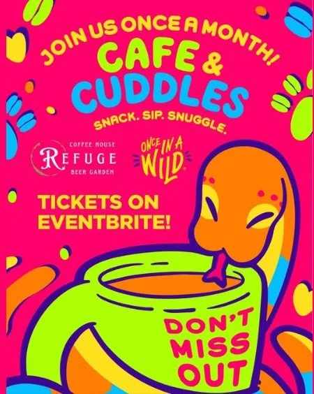 Cafe &amp; Cuddles with Once in a Wild