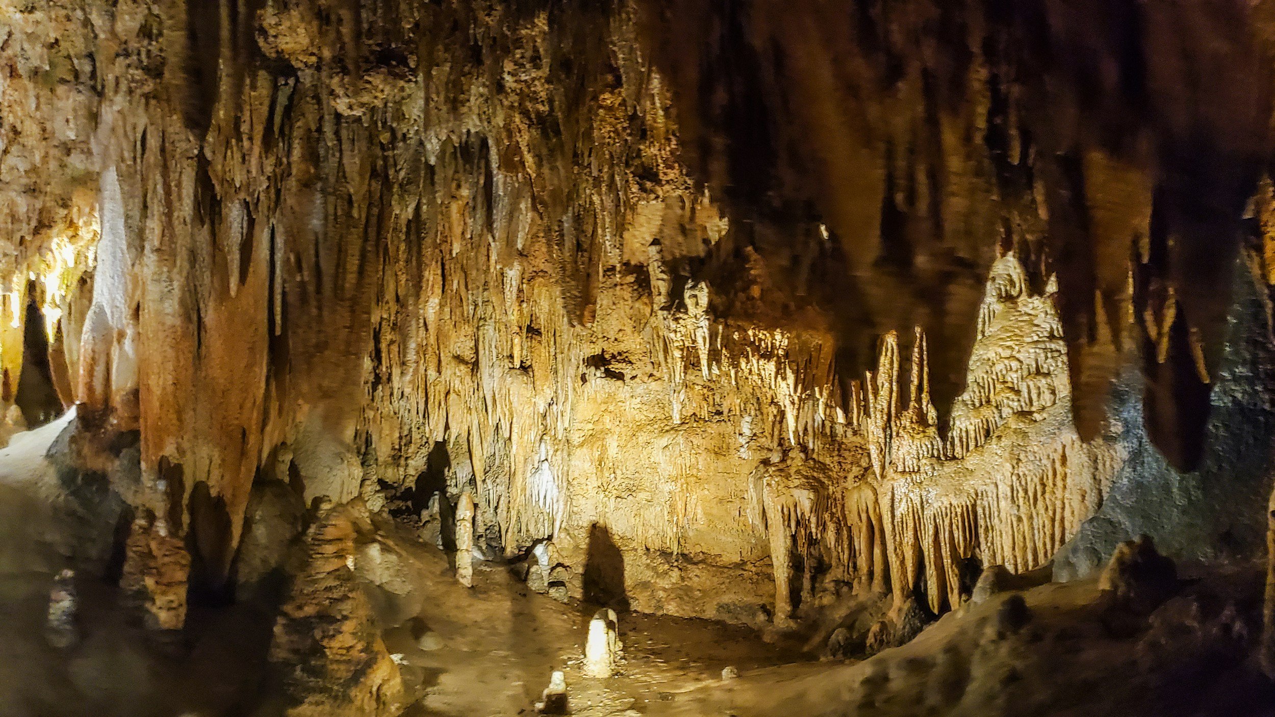 Cellobration – Texas Cellos Live in the Cave