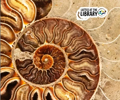 Fossil-Files: Lattes at the Library
