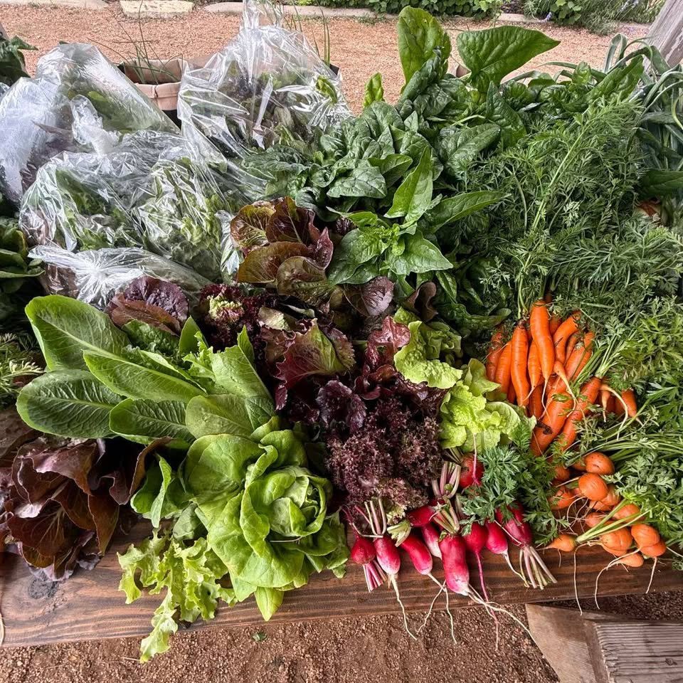 Harvest Day at Herff Farm