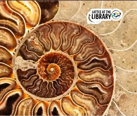 Fossil-Files: Lattes at the Library