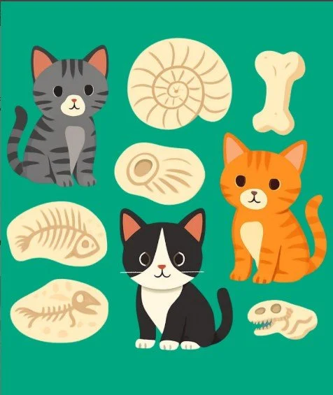Fossils and Felines: Cat Adoption Event