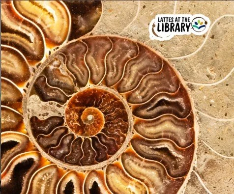 Fossil-Files (Lattes at the Library)