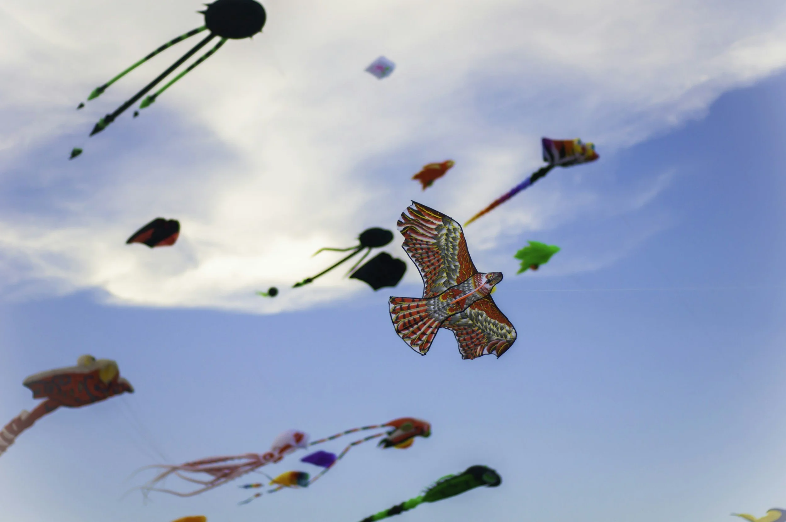 Family Kite Day