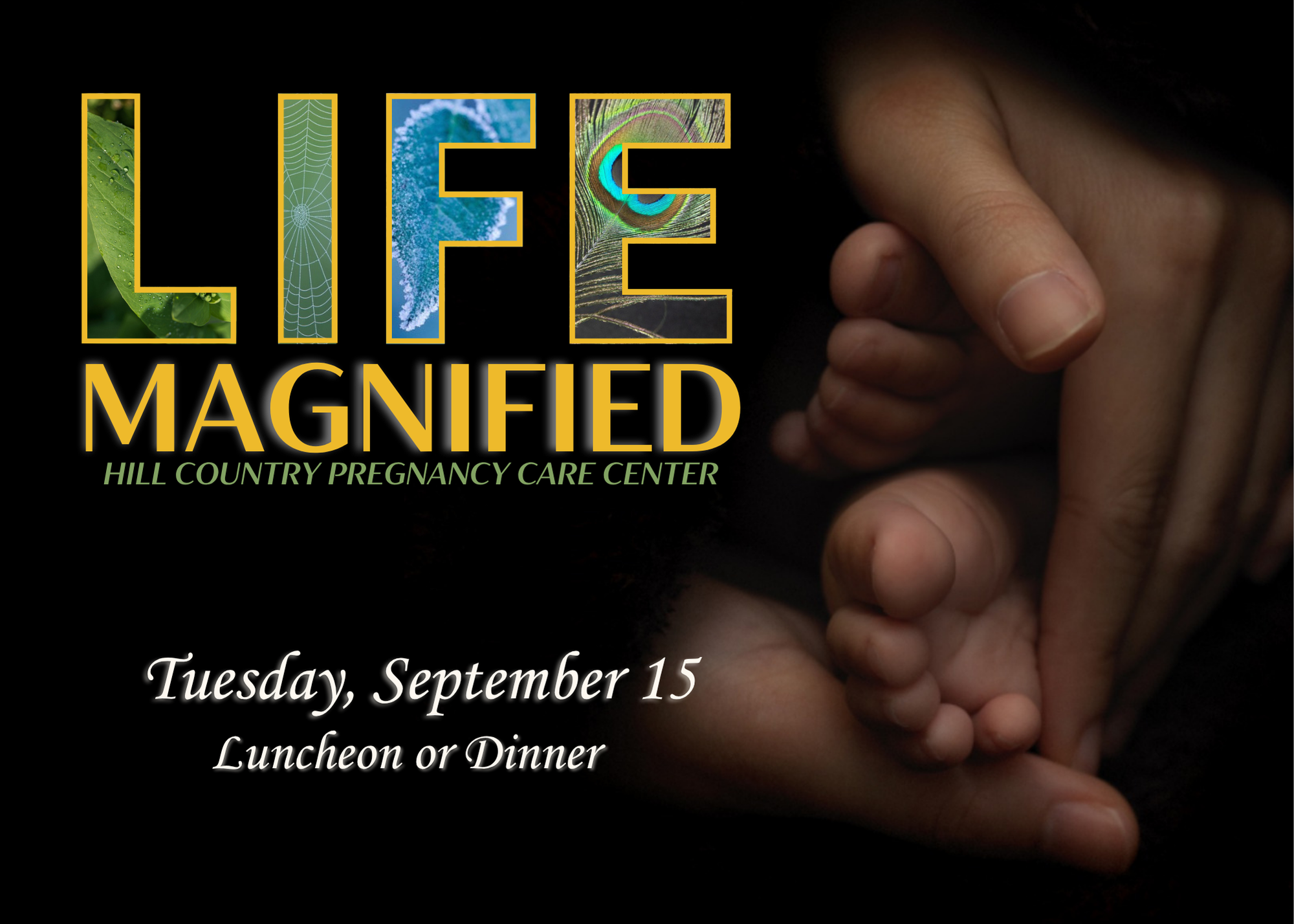 Hill Country Pregnancy Care Center Annual Fundraising Gala