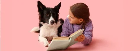 PAWS 4 Reading