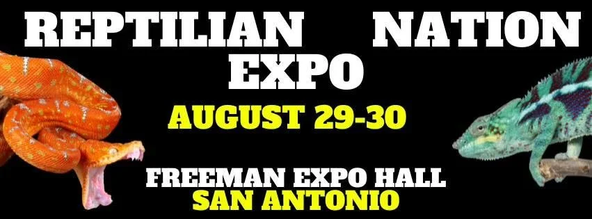 Reptilian Nation Expo
