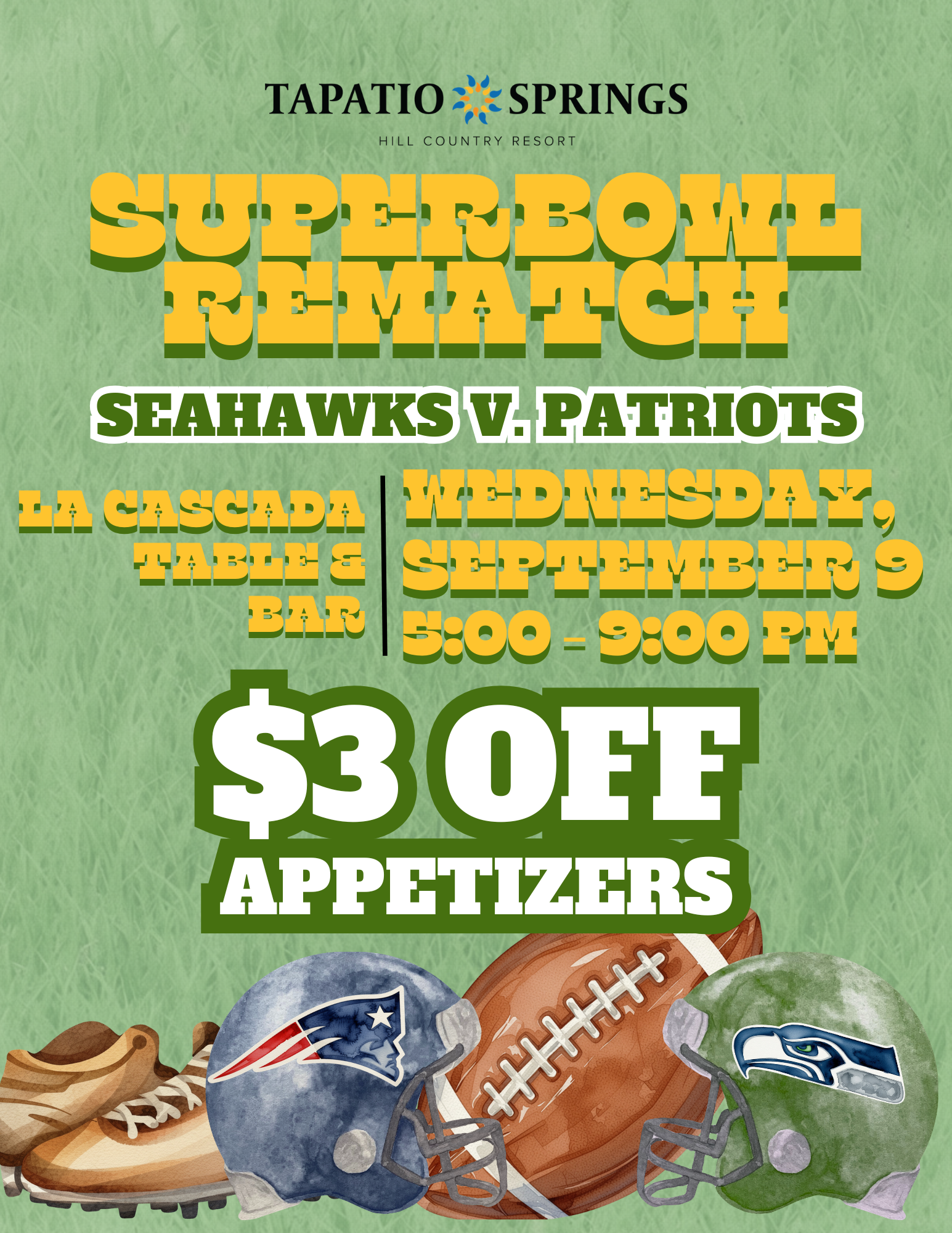 Super Bowl Rematch: Seahawks vs. Patriots