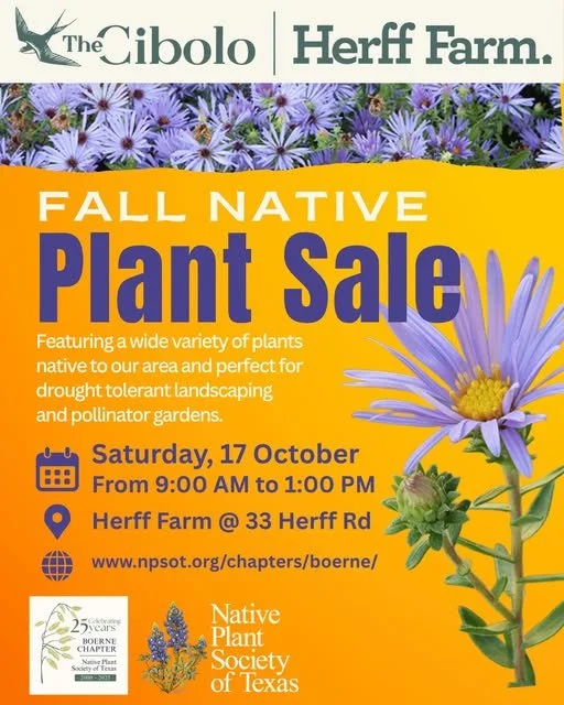 Boerne Native Fall Plant Sale