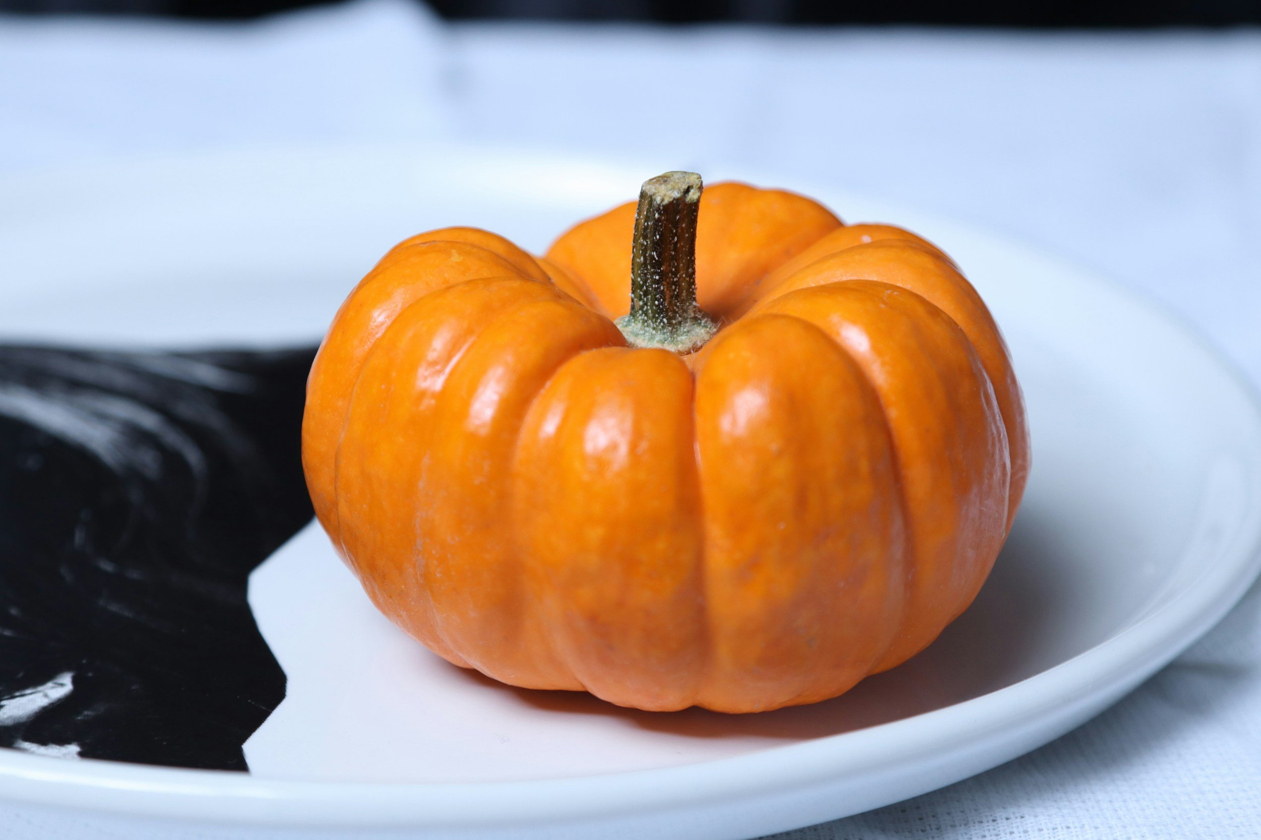 Family Pumpkin Day