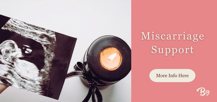 Boerne Love artwork for “Miscarriage Support”