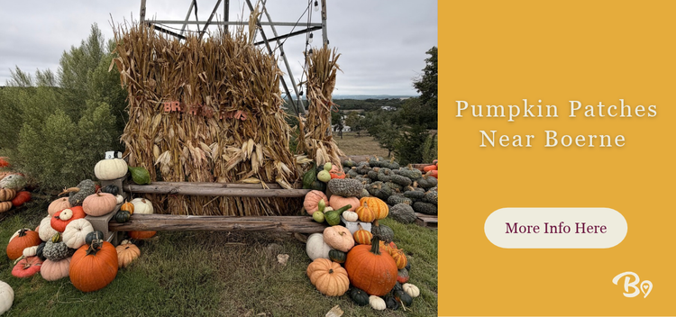 Boerne Love artwork for “Pumpkin Patches Near Boerne 2026”