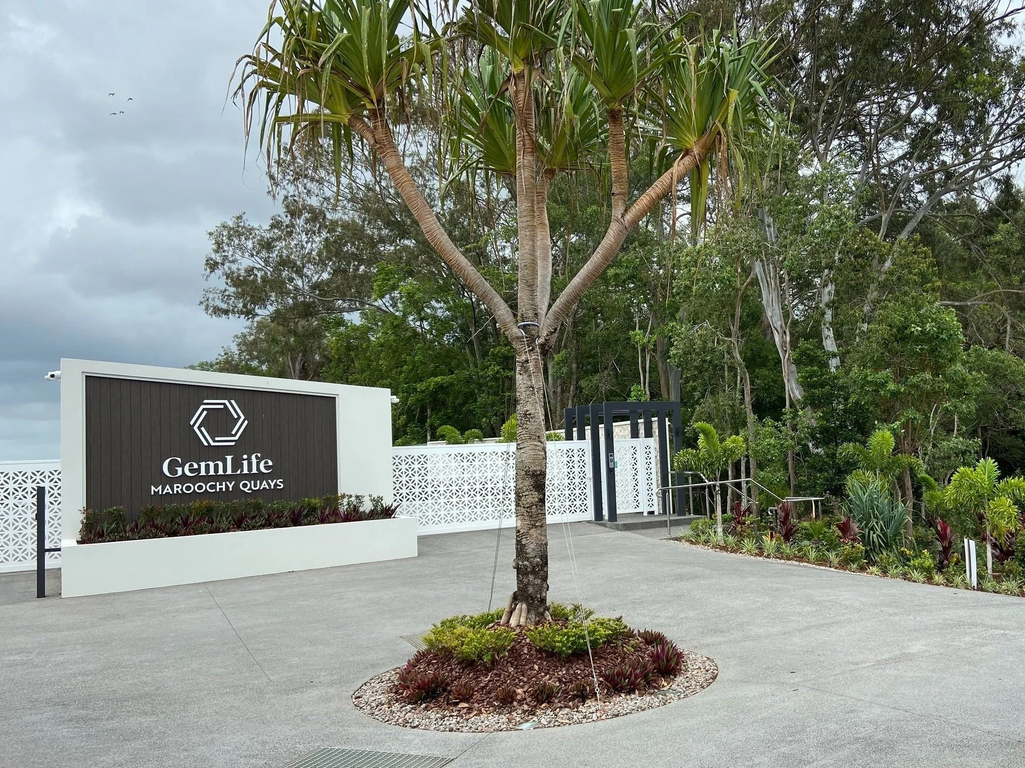 Anembo Landscape Architects, Sunshine Coast - Lifestyle Community, landscape design for GemLife Group - Maroochy Quays