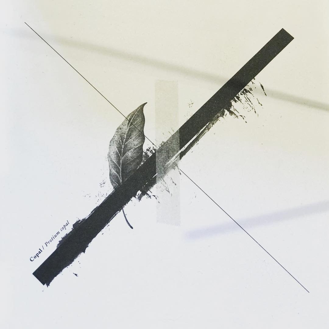 XIN&Uacute; &mdash; Study 
&mdash;
 Every perfume begins with a fragment of landscape.

A leaf.
A resin.
A root lifted from the soil.

Scent notes
Crushed leaves
Warm resin
Sun-dried herbs