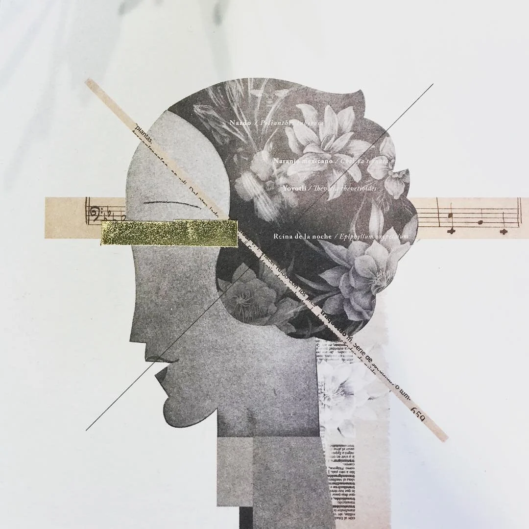 XIN&Uacute; &mdash; Study III
&mdash;

Smell is the most ancient form of memory.

A molecule enters the nose and the mind travels decades.

&mdash;-
Observation
While Xin&uacute; approaches fragrance through botanical territory, Suite Stories explore