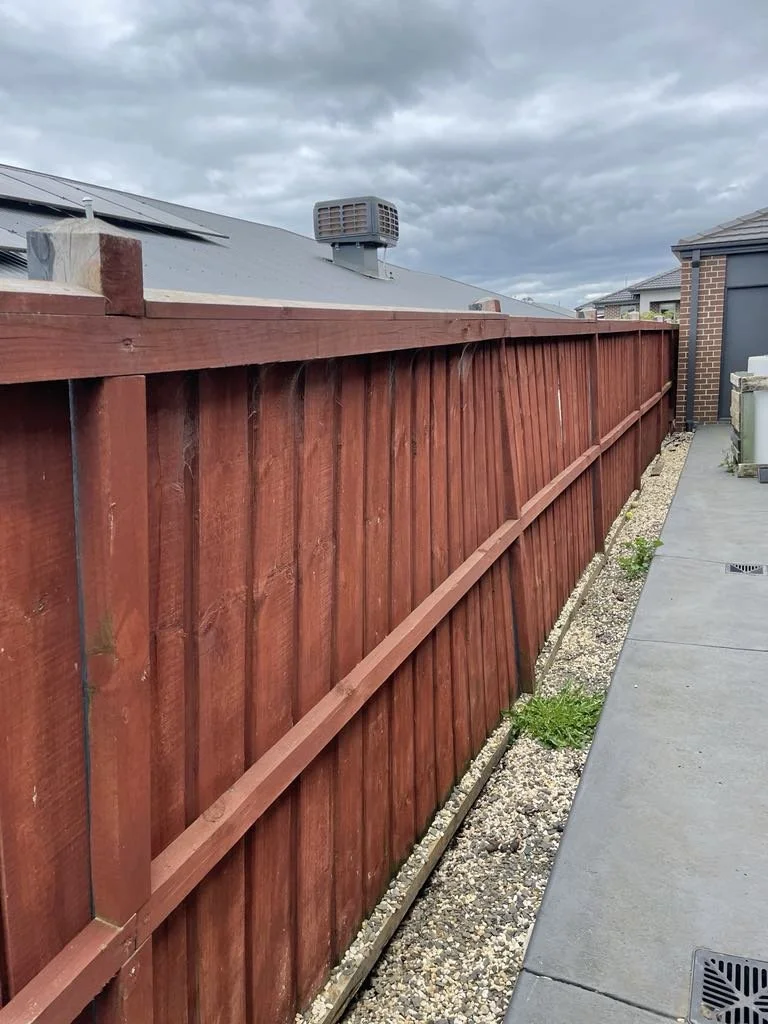 Fence - BEFORE