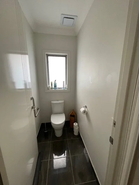 Toilet Before.jpeg