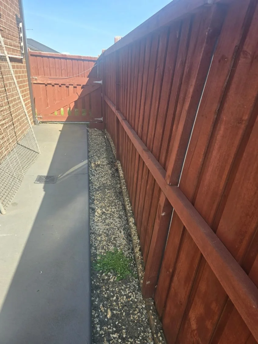 Fence - BEFORE