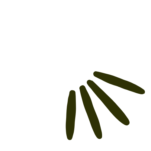 A black graphic accent, with four lines radiating out in a circular pattern, all fanning towards the bottom right.