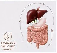 Illustration showing the possible connection between gut health and liver function