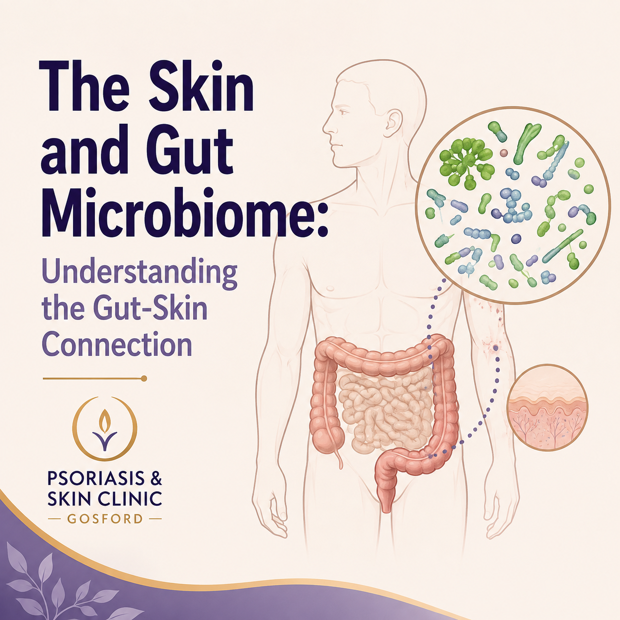 Illustration showing the relationship between the skin microbiome, gut microbiome and skin health