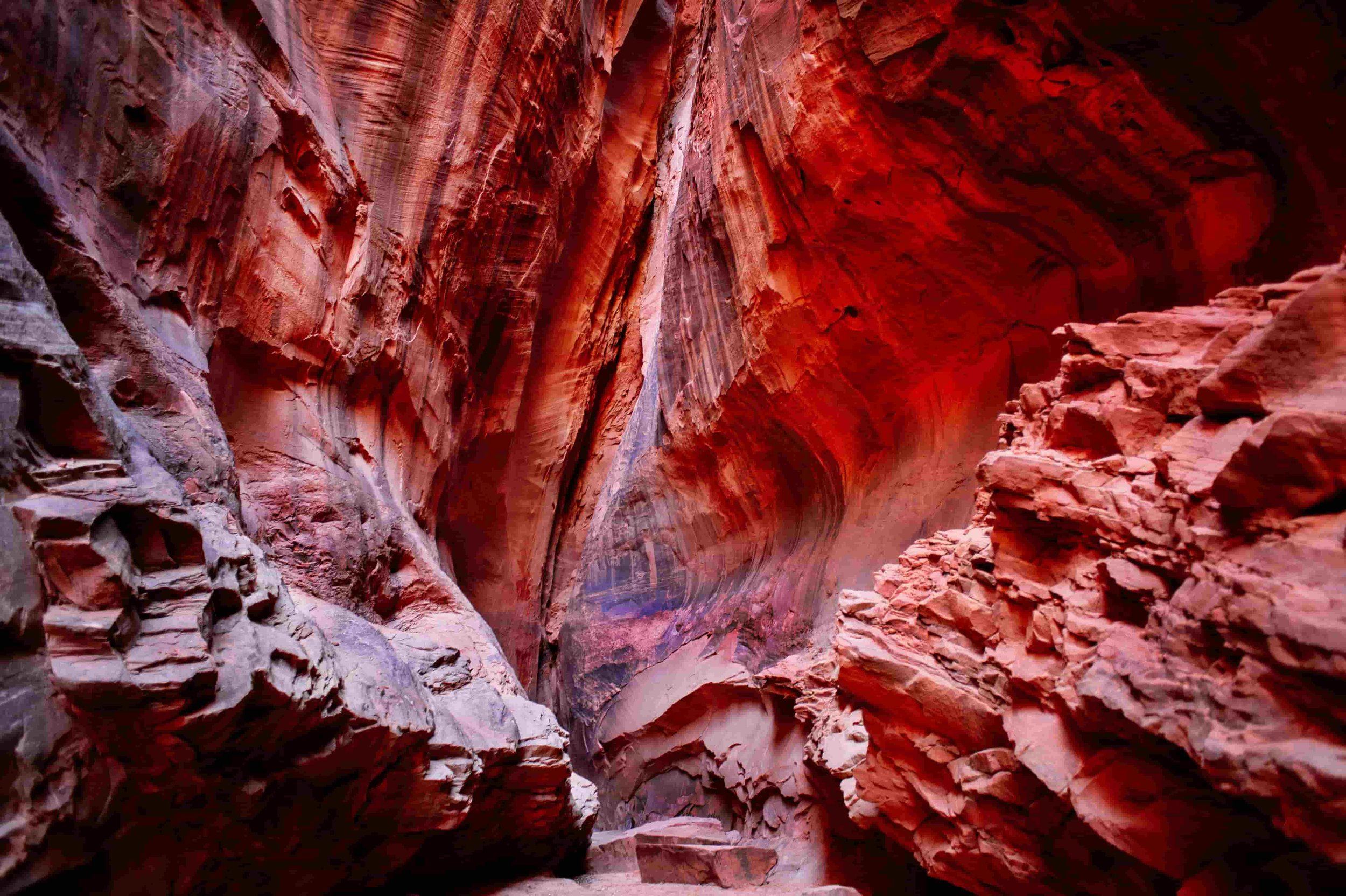 Zion National Park - Bonaventure