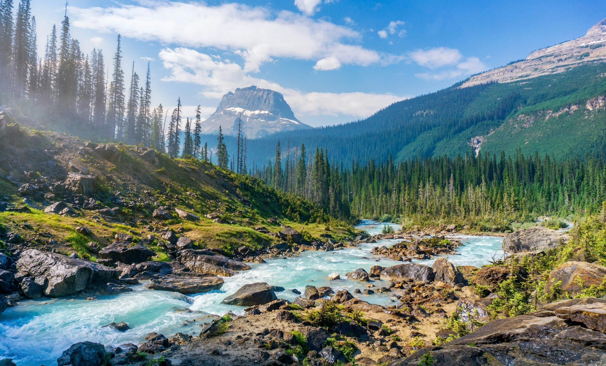 Scattering Ashes in National Parks