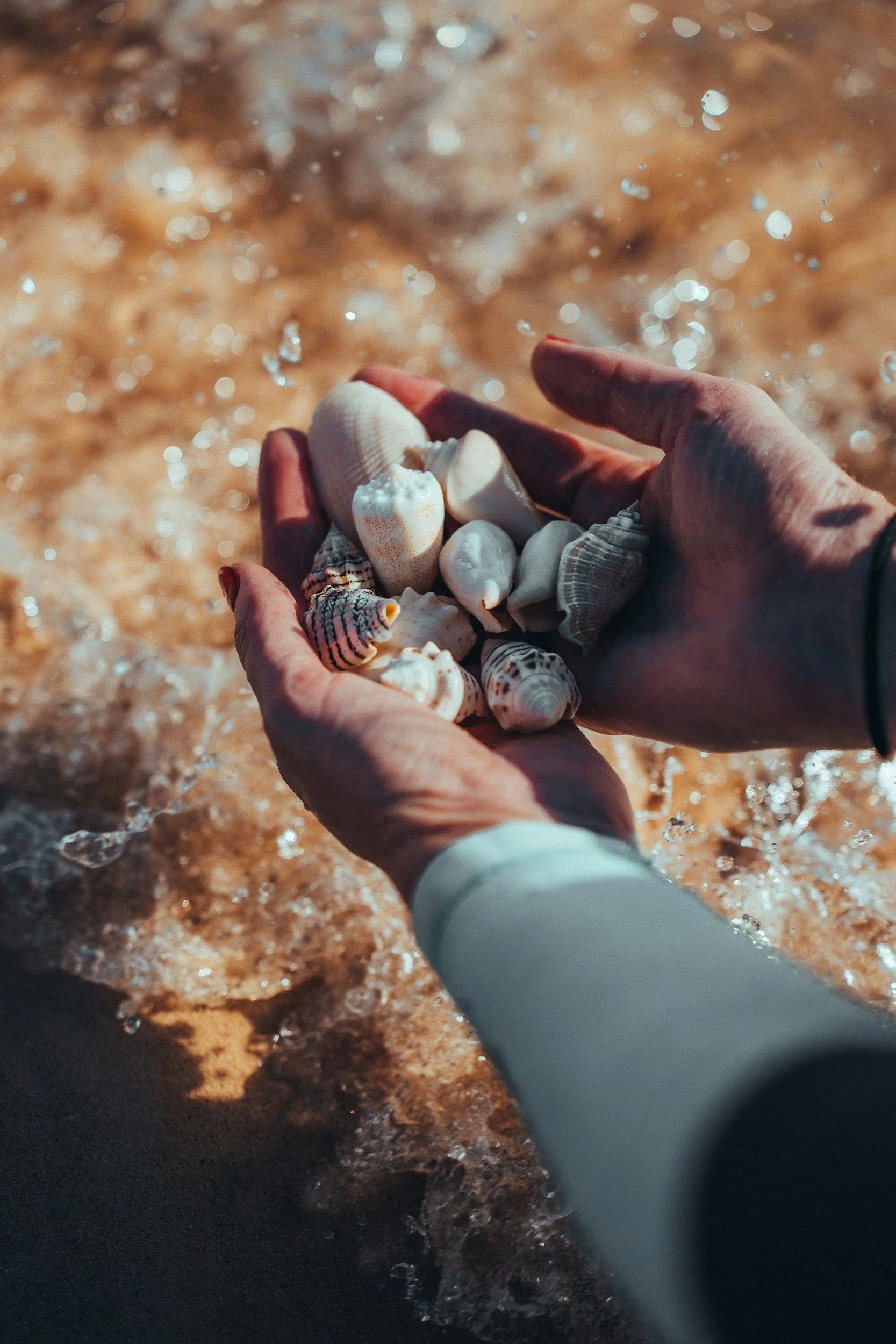 unsplash-image-U-L8q5pyj2U.jpg