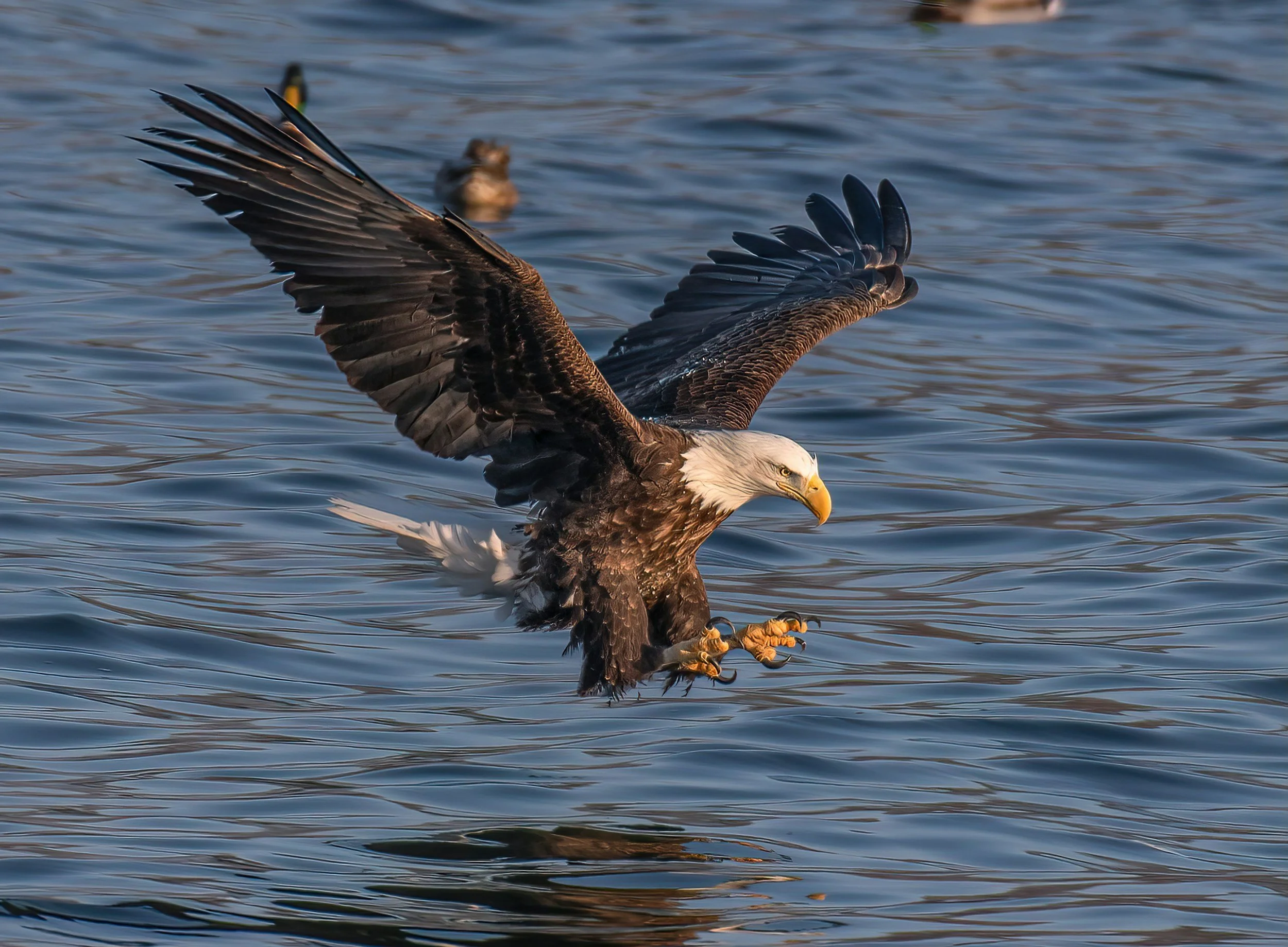 Patriotic Places to Scatter Ashes