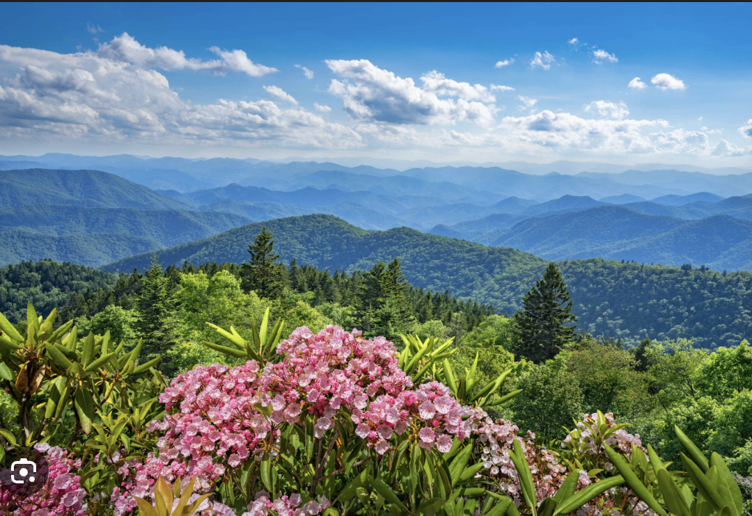 Screenshot 2026-04-18 at 7.22.54 AM.png