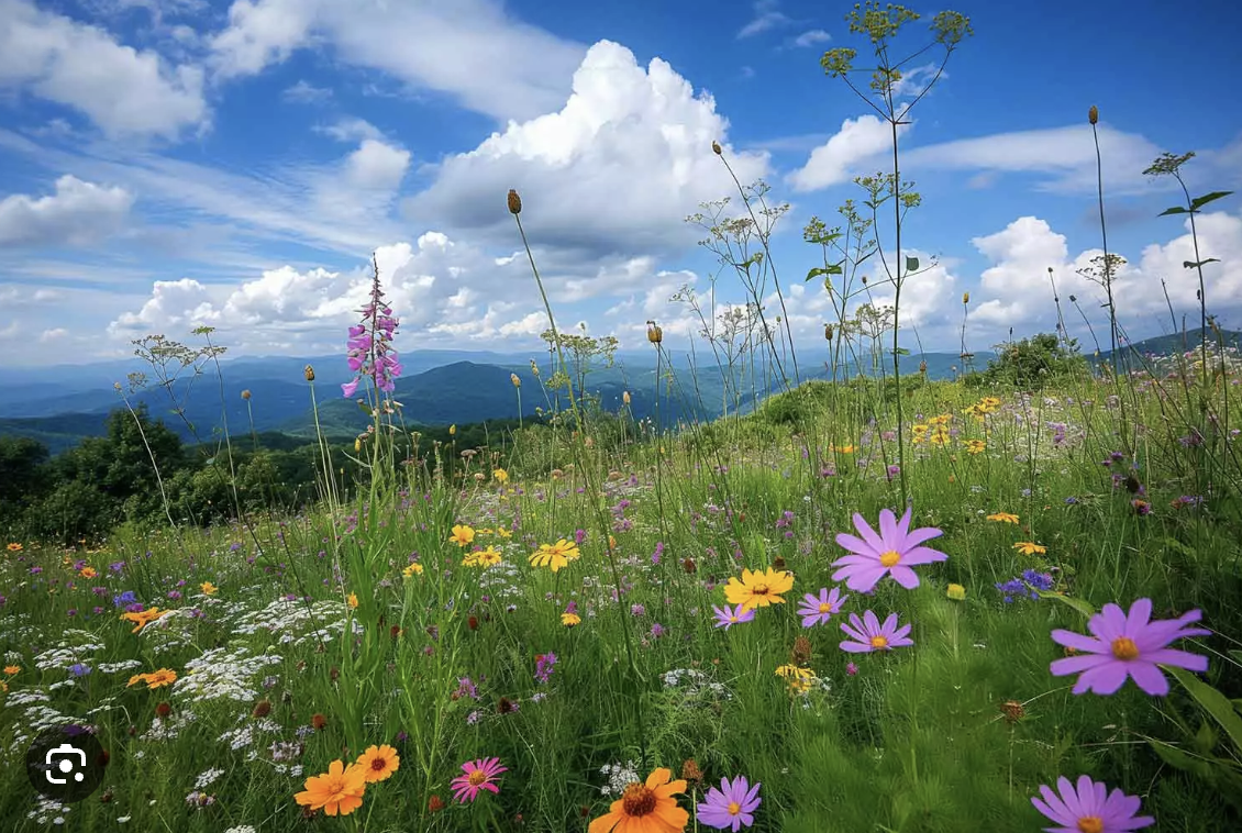 Screenshot 2026-04-18 at 7.23.23 AM.png